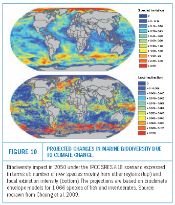 climate change impacts on marine biodiversity