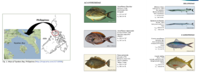 Fishes of Tayabas Bay, Tayabas resource management, value of biodiversity, ecosystem biodiversity